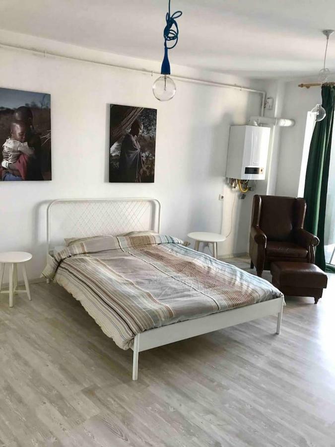 Beautiful Studio Near The Center Of Cluj Exteriér fotografie